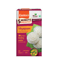 Instant Idiyappam 200g